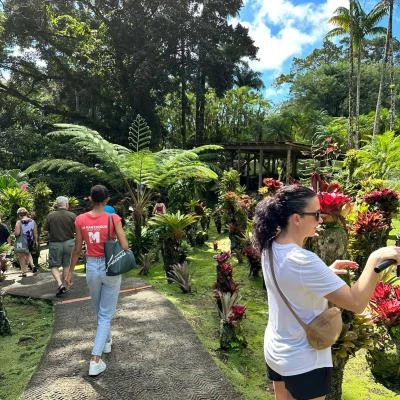 Visite Jardin de Balata