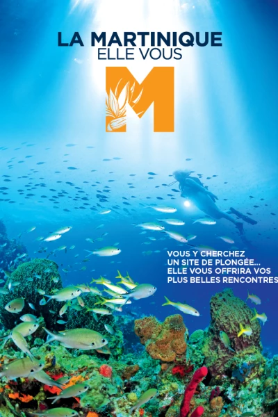 Couverture Brochure Plongée
