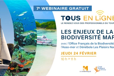 visuel webinaire 7