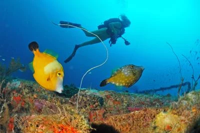 visuel plongée Martinique