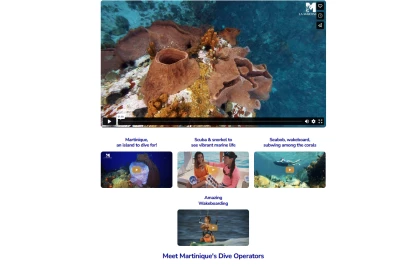 Image newsletter Travelvideo